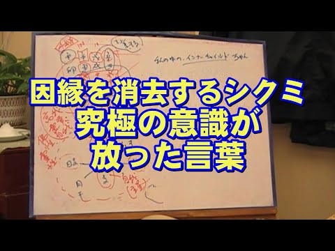 質疑応答集_28.5 - 業（カルマ）と運命の法則（情報：因縁を消去するシクミ）