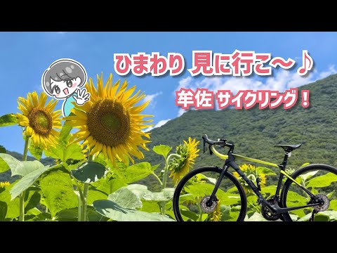 【岡山ロードバイク女子】ひまわりで元気いっぱいになろう♪牟佐大久保ひまわり畑まで自転車でゆるりと走ってみた