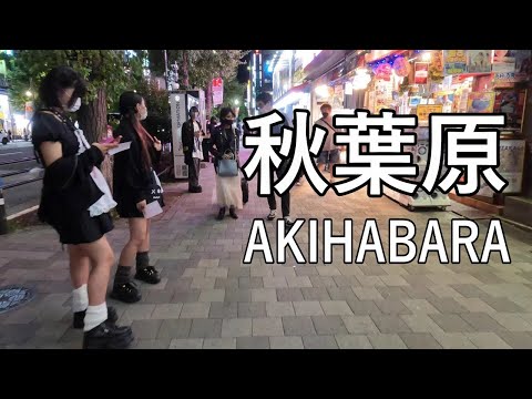 【Street walking】秋葉原から御徒町までを散歩 Night walking in AKIHABARA to Okachimachi of Tokyo