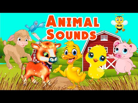 Animal Sounds Song | Learn Farm Animals for Toddlers | LittleKidsTV