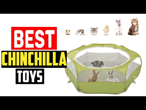 ✅The 5 Best Chinchilla Toys of 2023