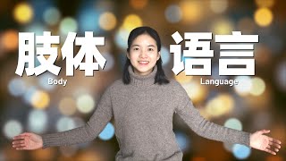 好口才养成秘籍3：正确的肢体语言让你变成演讲高手 | The Super Power of Body Language: It Speaks Louder Than Spoken Words