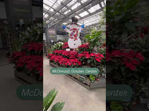 McDonald Garden Center #shorts #gardenshop #christmastree #christmasdecor #christmasshopping