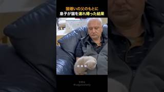 猫嫌いの父のもとに猫を連れ帰ってみると…