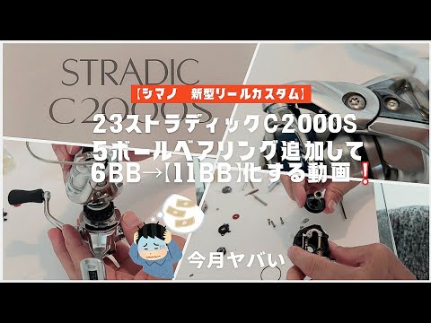 23ストラディックC2000Sに5ボールベアリング追加して6BB→【11BB化】する動画❕13年ぶりのシマノ機に悪戦苦闘⁉️