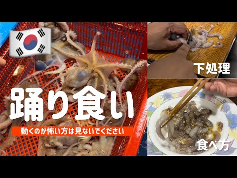 🇰🇷韓国踊り食いサンナクジ食べ方＆下処理（タコの踊り食い🐙）