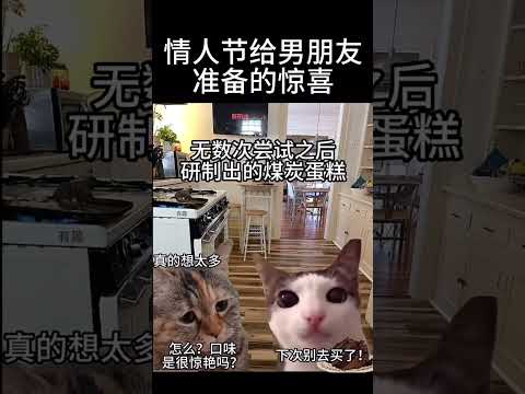 情人节变清明节 #cat #猫 #memes