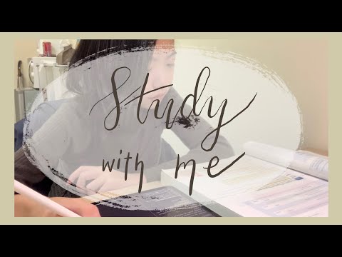 Study with me 3 (with background music )