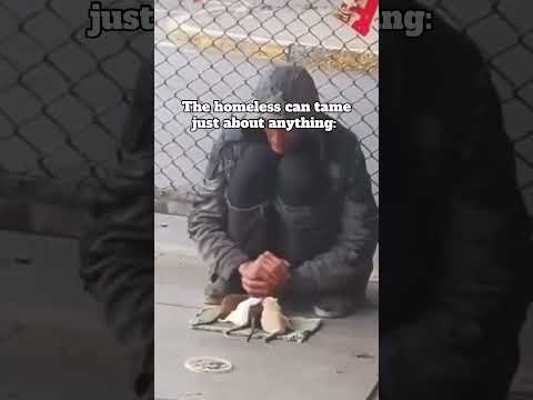 Nah what😭😂 #funny #homeless #nyc #snake #rats