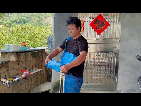 The young man went into the mountain to dig winter bamboo shoots and dug for 2 hours to see the fin