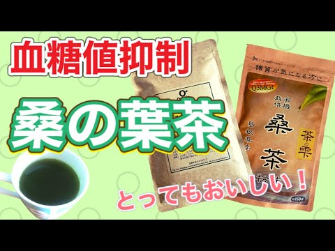 【糖尿病 対策】「桑の葉茶」の血糖値抑制効果を検証【桑の葉茶有無で比較】