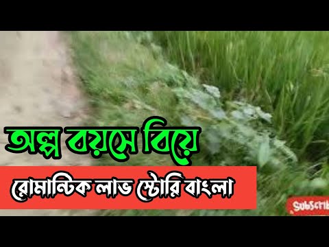 অল্প বয়সে বিয়ে || রোমান্টিক  লাভ স্টোরি বাংলা || Anika Dairy