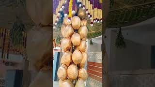 coconut decoration ideas