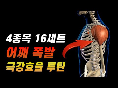 🔥어깨 운동 루틴🔥헬스 초보 헬린이 필수 종목 BEST 4