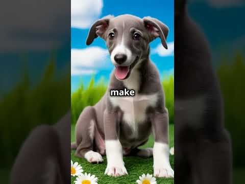 Who let the puppies out?  #kidsshorts #doglovers #puppy #puppyvideos