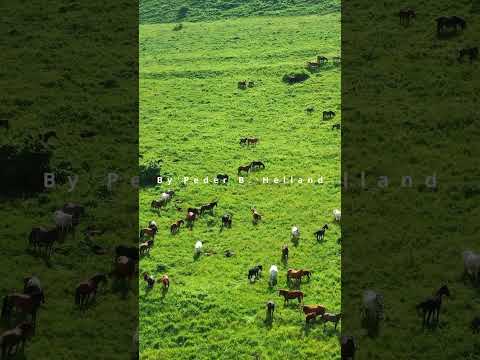 Beautiful & Relaxing Duduk Music in the Caucasus Mountains