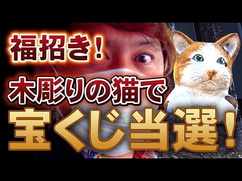 【富山で検証】猫の楽園⁉井波八日町通りで開運猫探し　コンプレッサー見聞録onYouTubeDesigned by The COMP