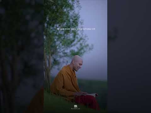 When You Feel Like Giving Up | Buddhism In English