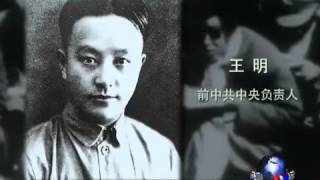 VOA卫视(2014年2月16日 第一小时节目)