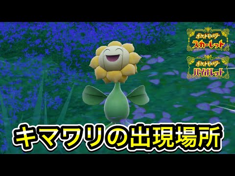 【ポケモンSV】キマワリの入手方法！出現場所を教えます