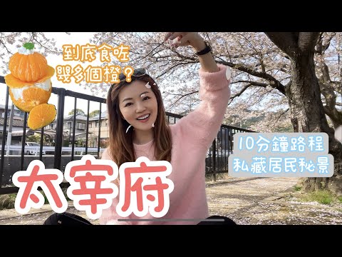 【福岡】太宰府秘密路線 / 滿開🌸櫻花 / 一個甜品到底有幾多個 🍊