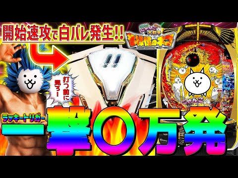 【Pにゃんこ大戦争～多様性のネコ～】奇跡の白バレ発生！一撃〇万発の爆連チャンを是非ご覧下さい！