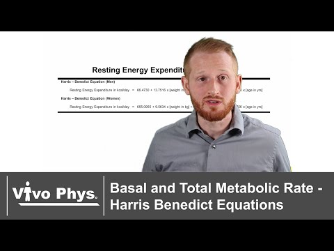 Basal and Total Metabolic Rate - Harris Benedict Equations