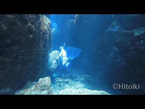 モノフィン素潜りでクレバスを探検してみた（沖縄県恩納村2019年5月）