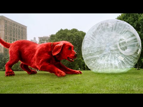 Clifford is the Dog we all Dream to Have | Clifford The Big Red Dog Best Scenes 🌀 4K