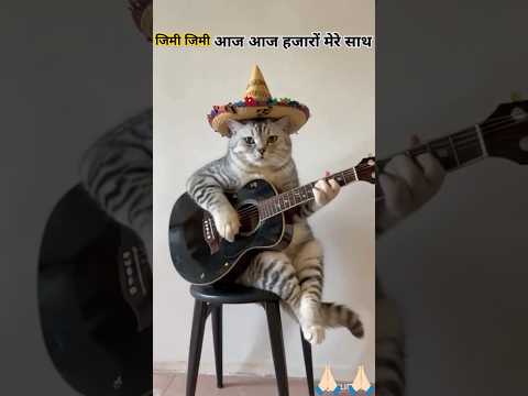 Jimi Jimi hajaron mere sath aaja mere sath billi ki awaaz mein short video viral# #music  #santosh