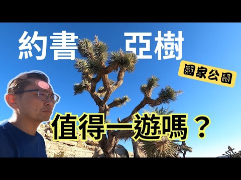 約書亞樹國家公園 Joshua Tree National Park | Say涼老爸