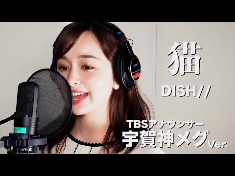 猫 - DISH// Covered by TBS宇賀神メグアナウンサー