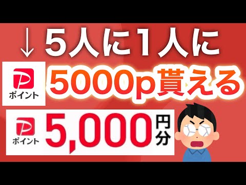 【衝撃】1人2回まで‼︎超高確率でPayPay5000p貰える…