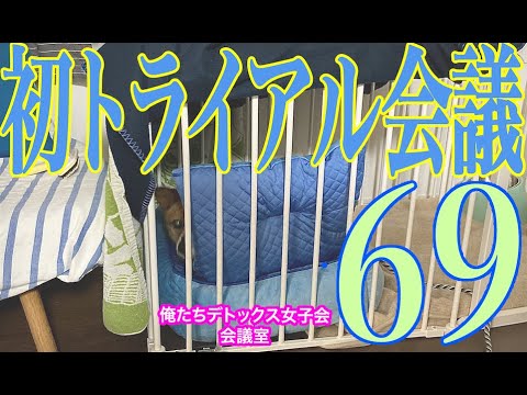 初トライアル会議【第69回 俺たちデトックス女子会会議室】