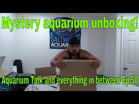 Mystery aquarium unboxing!