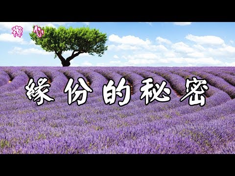 ☯【禪心】緣份的秘密❤ (語音版)