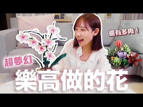 原來樂高做的花這麼夢幻！2022新品可愛多肉植物 & 優雅蘭花！| 安啾 (ゝ∀･) ♡