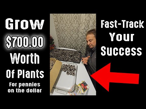 How To Grow $700.00 Worth Of Plants For Pennies On The Dollar!