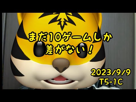 🐯まだうかれたらあかん！ 2023/9/9