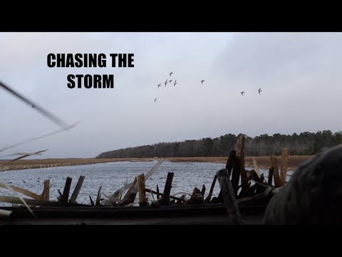 CHASING THE STORM