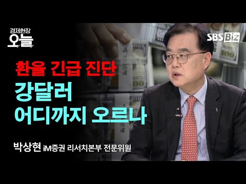 [환율 긴급진단] 금융위기 수준 '환율 발작' 언제까지?