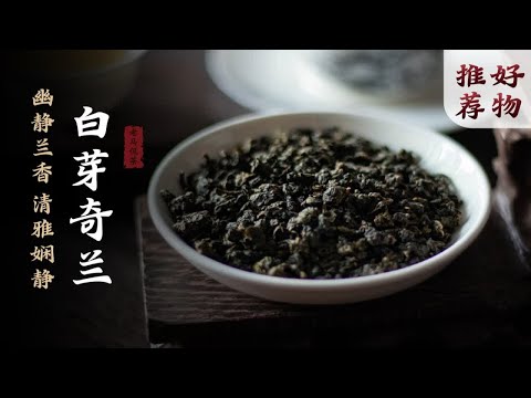 清雅娴静，小众高性价比｜白芽奇兰