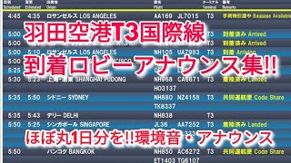 【環境音・アナウンス】羽田空港国際線第3ターミナル到着ロビーアナウンス！2023年5月版！