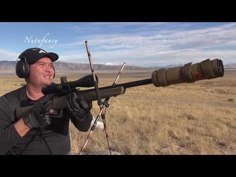 When $300 Shoots Like $3000: Remington 783