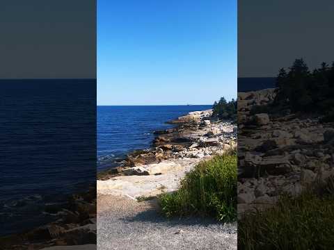 Herring cove 🌊🐟#shortsfeed #shortsviral #trending #oceanwaves #oceanlifestyleandindianvlogger