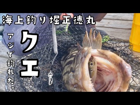 【海上釣り堀】三重県紀北町にある正徳丸が釣れすぎる仕組み