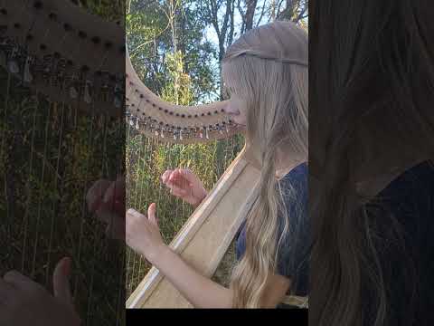 Archibald MacDonald of Keppoch: Celtic Harp #shorts #harp #scottishmusic #celticharp #harpcover