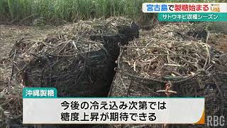 宮古地区全体でサトウキビ33万トン収穫見通し　製糖工場が操業開始