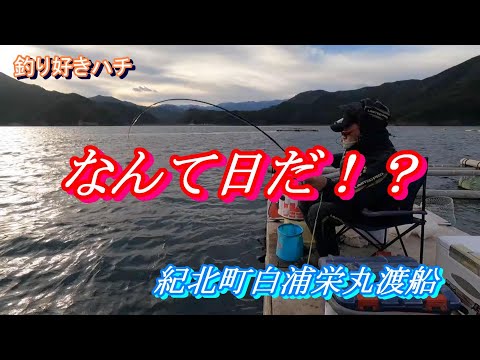 【かかり釣り】【筏チヌ】「なんて日だ！？」ていう感じでした。