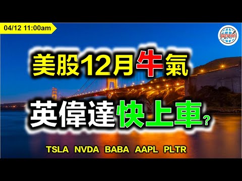 AI投資有道-美股研究 I 美股12月牛氣，英偉達快上車？ I TSLA I NVDA I BABA I AAPL I PLTR